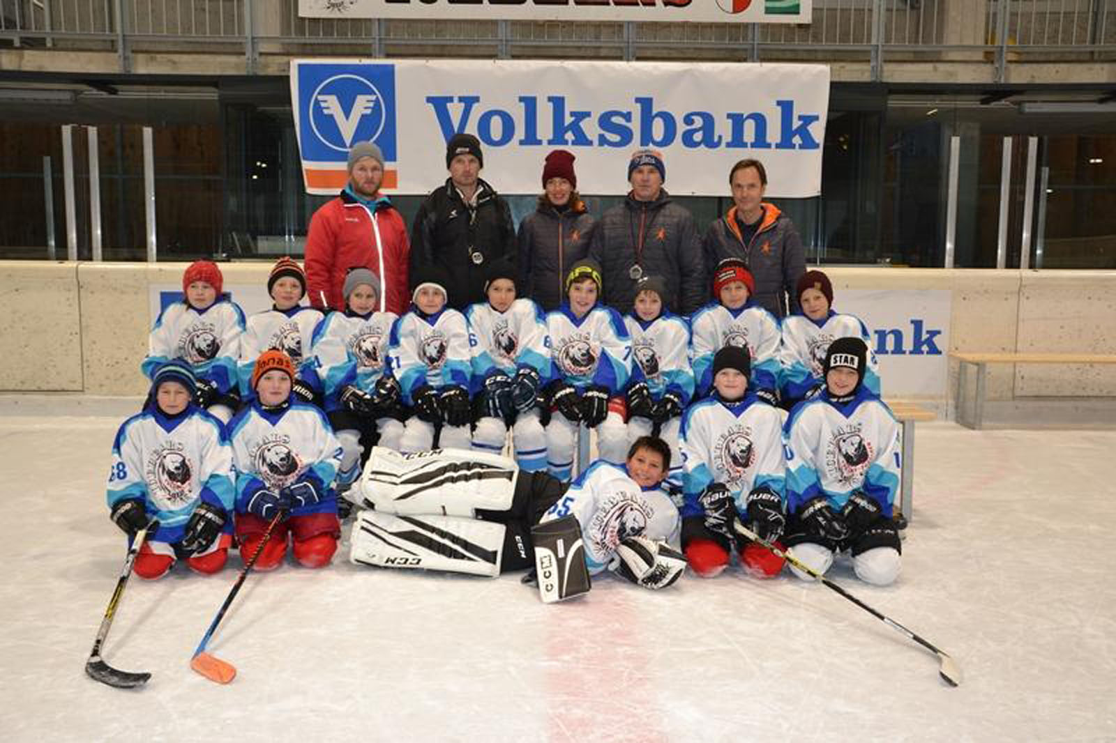 icebears